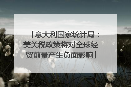 意大利国家统计局：美关税政策将对全球经贸前景产生负面影响