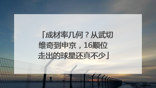 成材率几何？从武切维奇到申京，16顺位走出的球星还真不少
