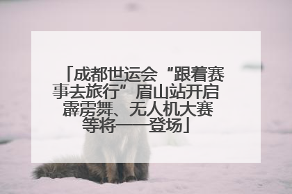 成都世运会“跟着赛事去旅行”眉山站开启 霹雳舞、无人机大赛等将一一登场