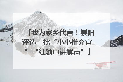 我为家乡代言！崇阳评选一批“小小推介官”“红领巾讲解员”