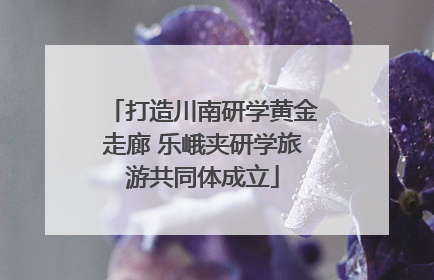 打造川南研学黄金走廊 乐峨夹研学旅游共同体成立