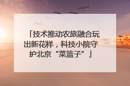 技术推动农旅融合玩出新花样，科技小院守护北京“菜篮子”