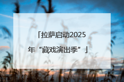 拉萨启动2025年“藏戏演出季”
