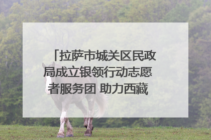 拉萨市城关区民政局成立银领行动志愿者服务团 助力西藏银发经济发展