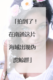 拍到了！在南通这片海域出现伪虎鲸群