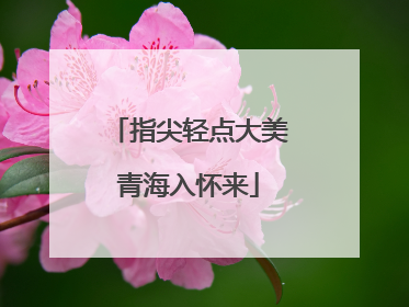 指尖轻点大美青海入怀来