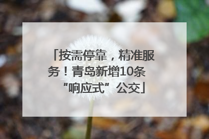 按需停靠，精准服务！青岛新增10条“响应式”公交