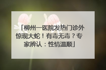 柳州一医院发热门诊外惊现大蛇！有毒无毒？专家辨认：性情温顺