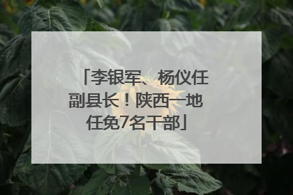 李银军、杨仪任副县长！陕西一地任免7名干部