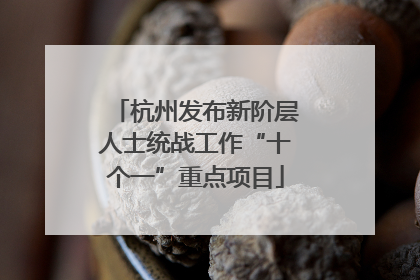 杭州发布新阶层人士统战工作“十个一”重点项目
