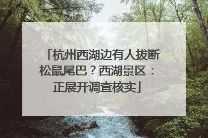 杭州西湖边有人拔断松鼠尾巴？西湖景区：正展开调查核实