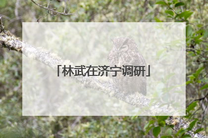 林武在济宁调研