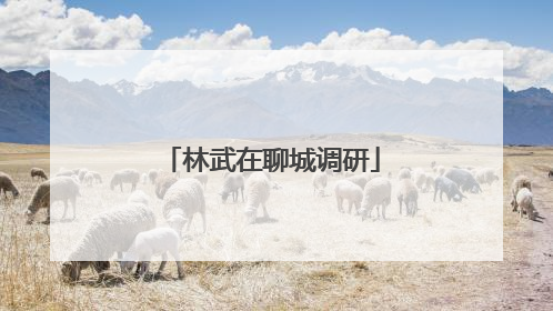 林武在聊城调研