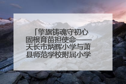 擎旗铸魂守初心 固根育苗担使命——天长市炳辉小学与萧县师范学校附属小学结对共建活动纪实