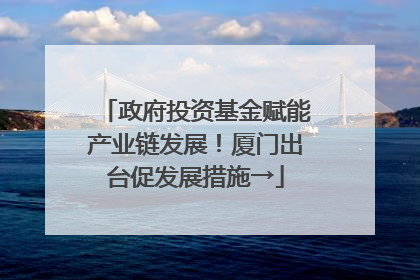 政府投资基金赋能产业链发展！厦门出台促发展措施→