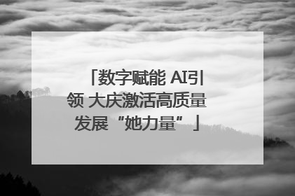 数字赋能 AI引领 大庆激活高质量发展“她力量”