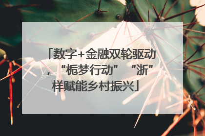 数字+金融双轮驱动，“栀梦行动”“浙”样赋能乡村振兴