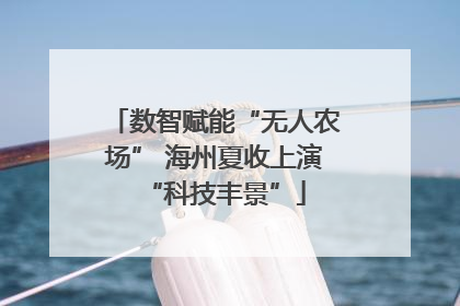 数智赋能“无人农场” 海州夏收上演“科技丰景”