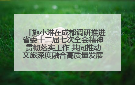 施小琳在成都调研推进省委十二届七次全会精神贯彻落实工作 共同推动文旅深度融合高质量发展 加快打造支柱产业民生产业幸福产业