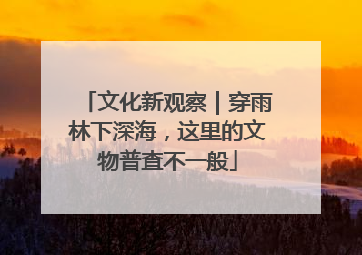 文化新观察｜穿雨林下深海，这里的文物普查不一般