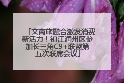 文商旅融合激发消费新活力!镇江润州区参加长三角C9+联盟第五次联席会议