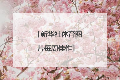 新华社体育图片每周佳作