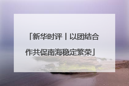 新华时评丨以团结合作共促南海稳定繁荣