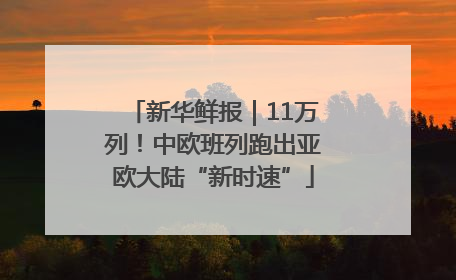 新华鲜报｜11万列！中欧班列跑出亚欧大陆“新时速”