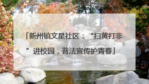 新州镇文星社区：“扫黄打非”进校园，普法宣传护青春