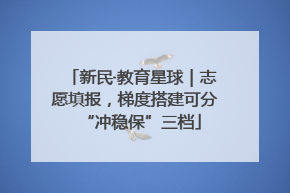 新民·教育星球｜志愿填报，梯度搭建可分“冲稳保”三档