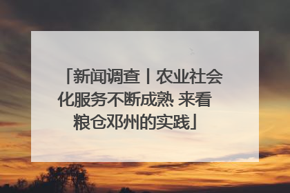 新闻调查丨农业社会化服务不断成熟 来看粮仓邓州的实践