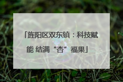 旌阳区双东镇：科技赋能 结满“杏”福果