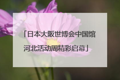 日本大阪世博会中国馆河北活动周精彩启幕
