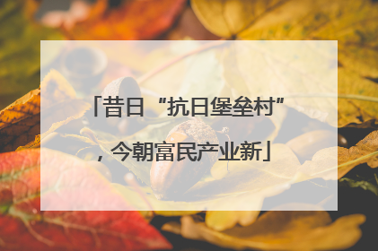 昔日“抗日堡垒村”，今朝富民产业新