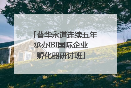 普华永道连续五年承办IBI国际企业孵化器研讨班