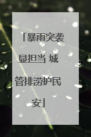 暴雨突袭显担当 城管排涝护民安
