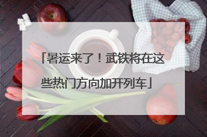 暑运来了！武铁将在这些热门方向加开列车
