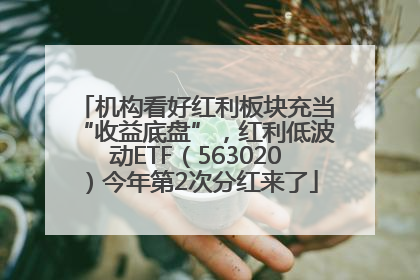 机构看好红利板块充当“收益底盘”，红利低波动ETF（563020）今年第2次分红来了