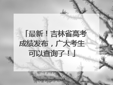 最新！吉林省高考成绩发布，广大考生可以查询了！