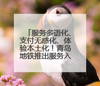服务多语化、支付无感化、体验本土化！青岛地铁推出服务入境旅游“三件套”