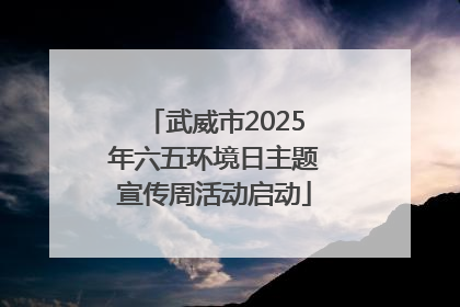 武威市2025年六五环境日主题宣传周活动启动