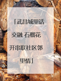 武昌城里话交融 石榴花开串联社区邻里情