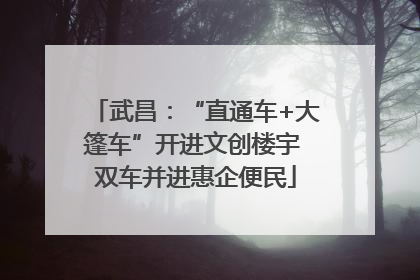 武昌：“直通车+大篷车”开进文创楼宇 双车并进惠企便民