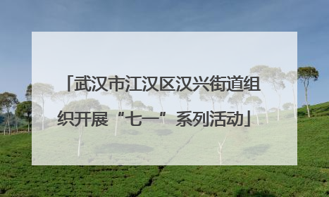 武汉市江汉区汉兴街道组织开展“七一”系列活动