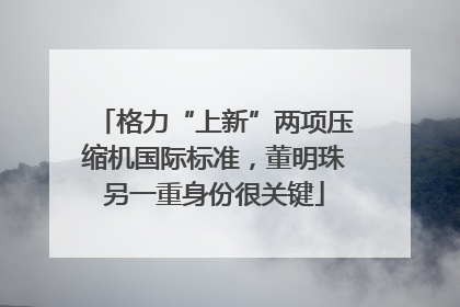 格力“上新”两项压缩机国际标准，董明珠另一重身份很关键