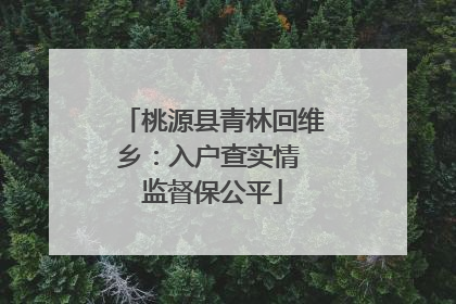桃源县青林回维乡：入户查实情 监督保公平