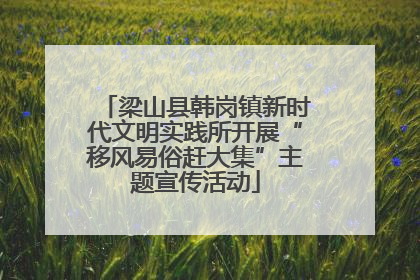 梁山县韩岗镇新时代文明实践所开展“移风易俗赶大集”主题宣传活动