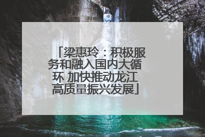 梁惠玲：积极服务和融入国内大循环 加快推动龙江高质量振兴发展