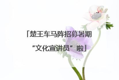 楚王车马阵招募暑期“文化宣讲员”啦