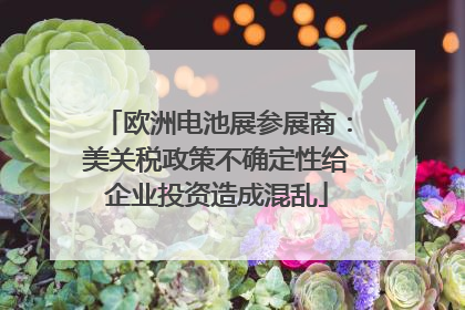 欧洲电池展参展商：美关税政策不确定性给企业投资造成混乱